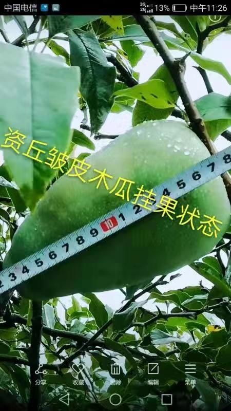 中药材十大功劳 大宗中药材种植，致富之路，你种植我回收，真诚合作