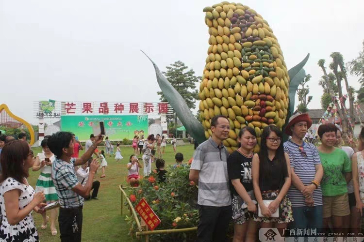  越南金煌芒 保质保量 香甜软糯 无丝