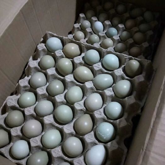 商河县品质鸡蛋 质在我家 自家养殖的一手货源七彩山鸡蛋