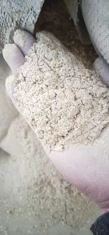 聊城麦毛  麦土