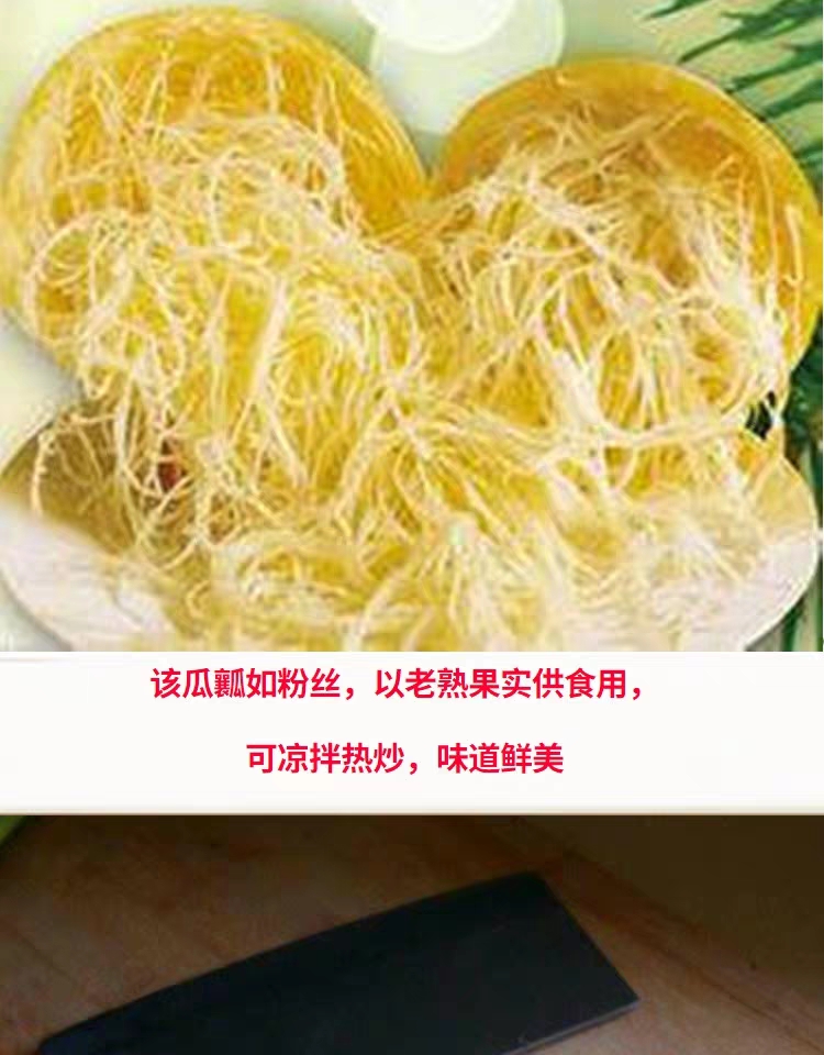 金丝搅瓜种子 金丝绞瓜种子搅瓜种子四季蔬菜种子观赏果蔬天然