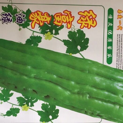 英德市绿苦瓜种子  苦瓜种子