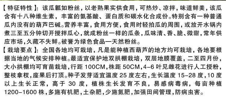 金丝搅瓜种子 金丝绞瓜种子搅瓜种子四季蔬菜种子观赏果蔬天然