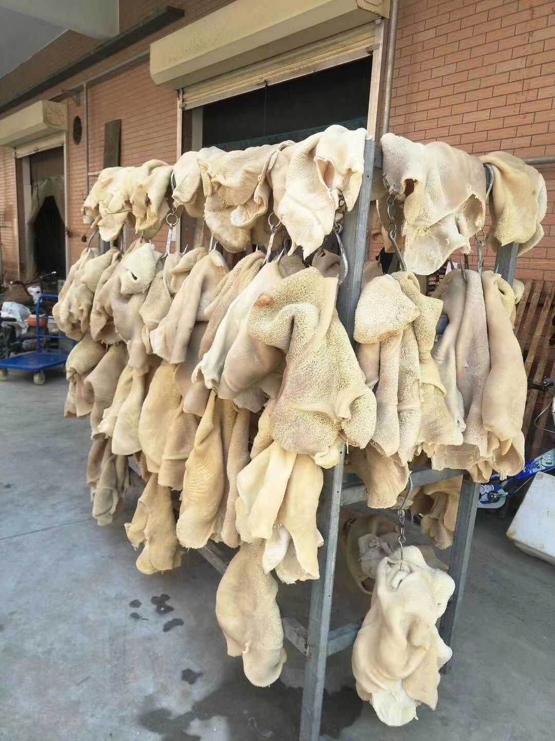精品纯干精修牛肚 无油无冰