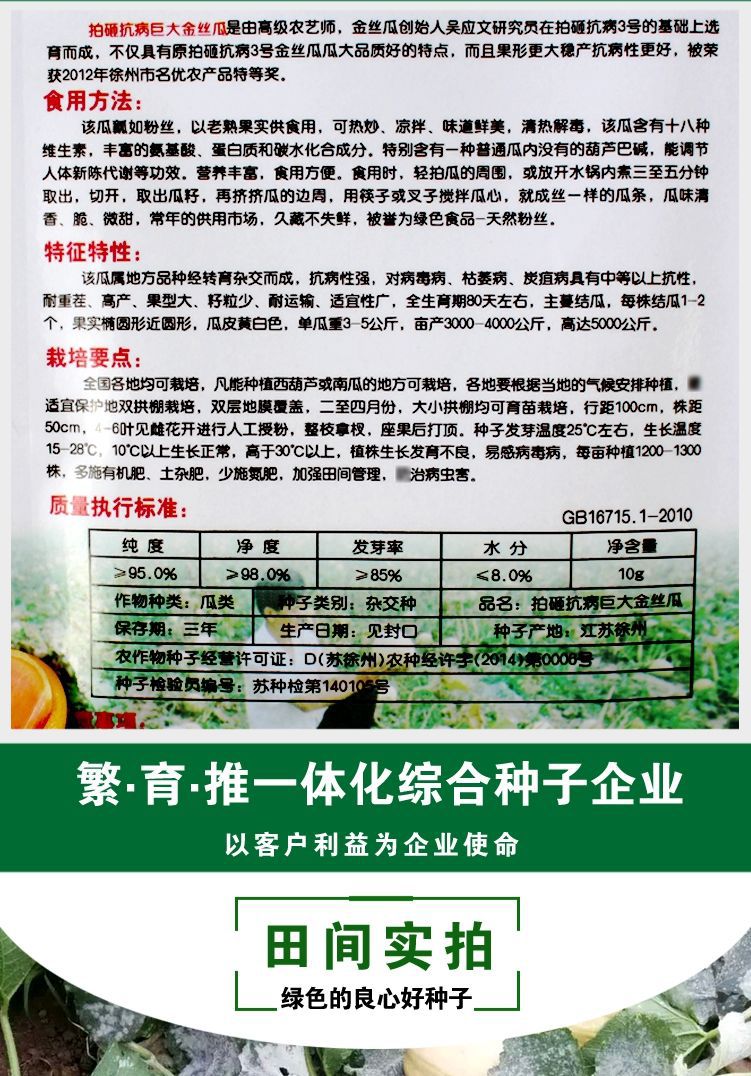 金丝搅瓜种子 金丝绞瓜种子搅瓜种子四季蔬菜种子观赏果蔬天然