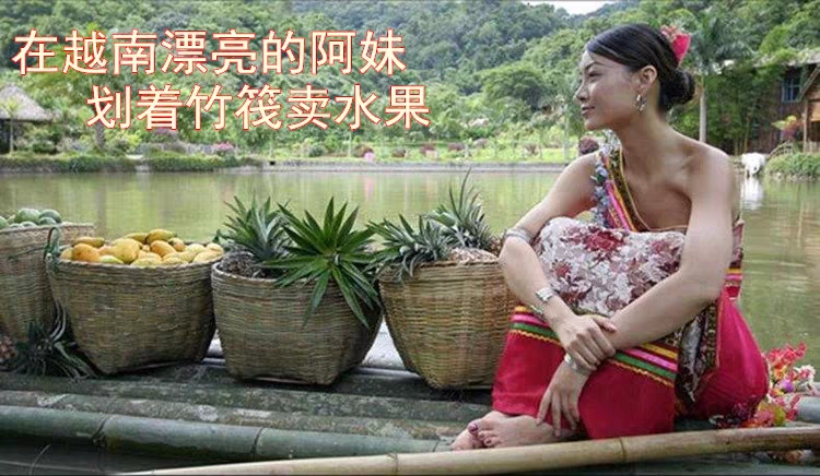  越南金煌芒 保质保量 香甜软糯 无丝