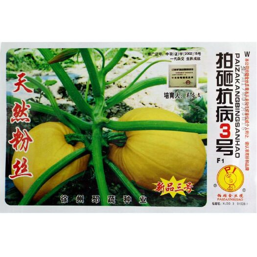 金丝搅瓜种子 金丝绞瓜种子搅瓜种子四季蔬菜种子观赏果蔬天然