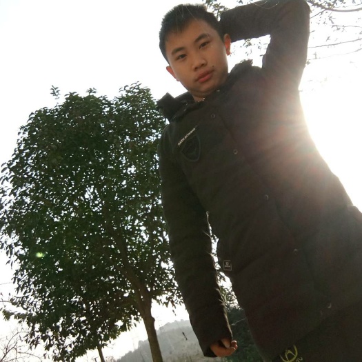 分宜县 白花含笑