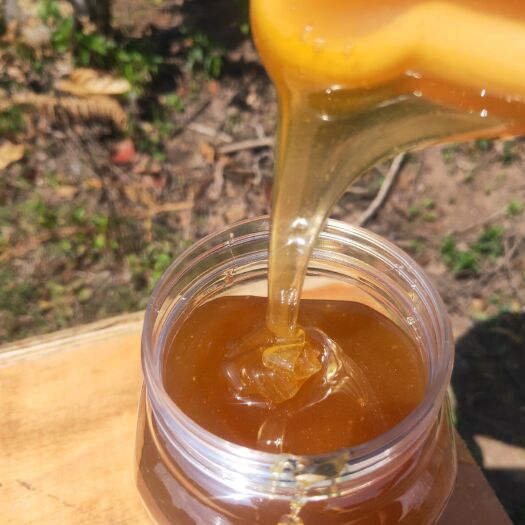 思茅 野 生土蜂蜜，都是严格精选于海拔2000左右的原始森林，
