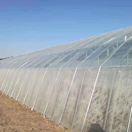 泊头市育苗温室大棚