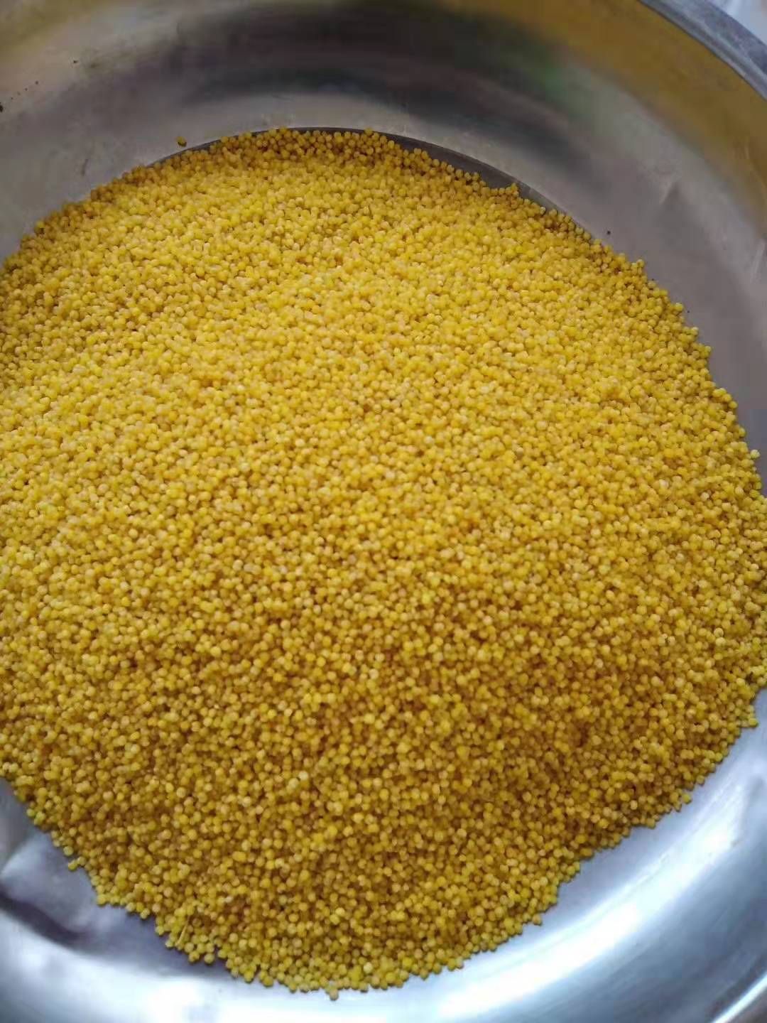 25年新米山西沁州黄新黄小米自产9斤起发，保质保量量大优惠