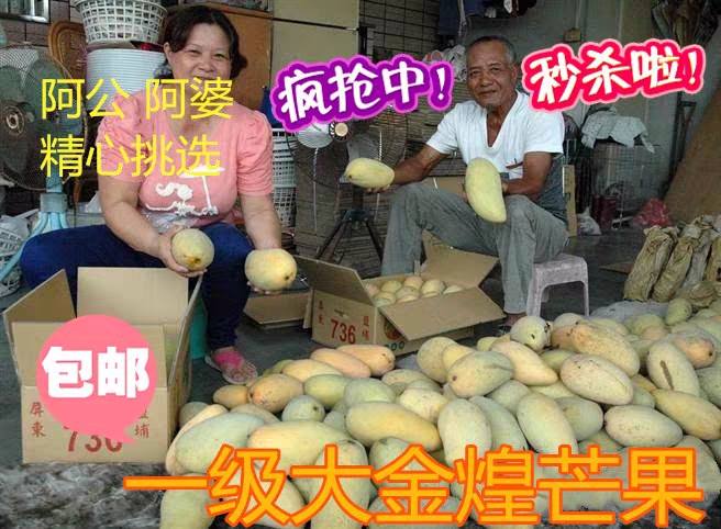  越南金煌芒 保质保量 香甜软糯 无丝