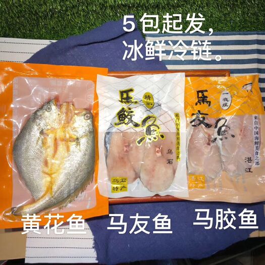 湛江 马鲛鱼