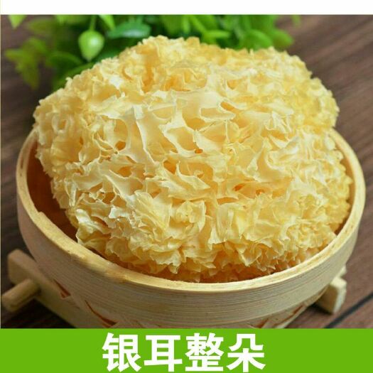 古田县 古田特产农家美味银耳易煮易糯丑耳糯耳无硫优质天然银耳包邮