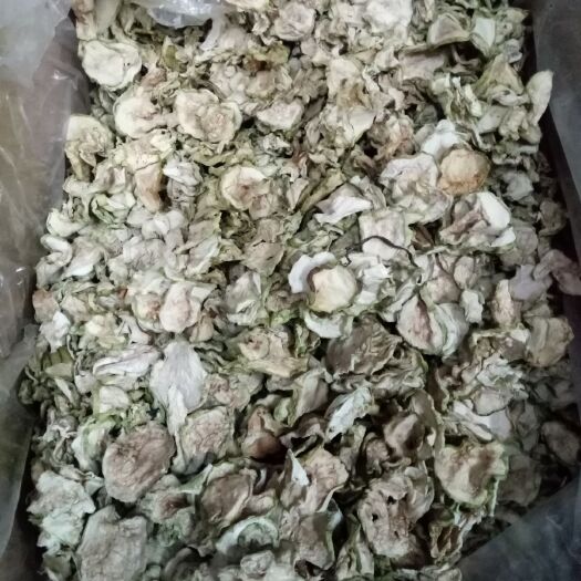 合肥葫芦瓜干 12-18个月