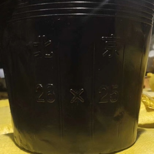 营养钵/营养杯 利达塑业!各种型号营养杯,穴盘包邮到乡镇!