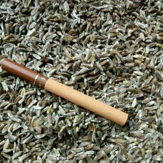 平陆县苍术种子  正宗北苍术种籽，朱砂点，新籽，出芽率高