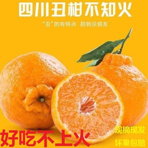 成都四川丑橘不知火丑八怪橘新鲜孕妇水果当季桔子柑橘丑柑丑桔包邮