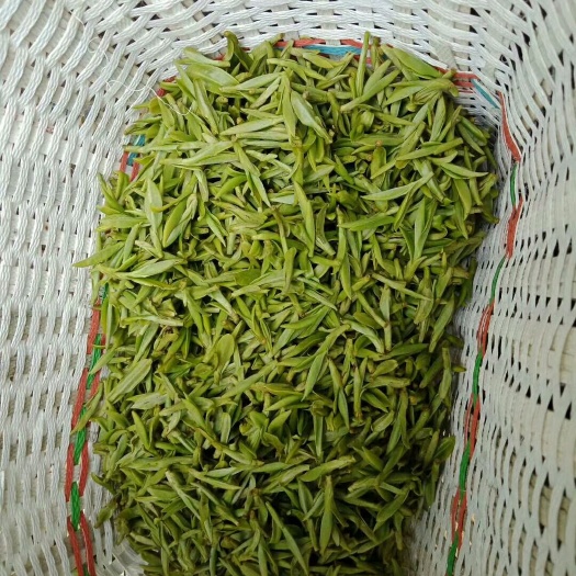新昌县龙井茶 新昌大佛龙井！
