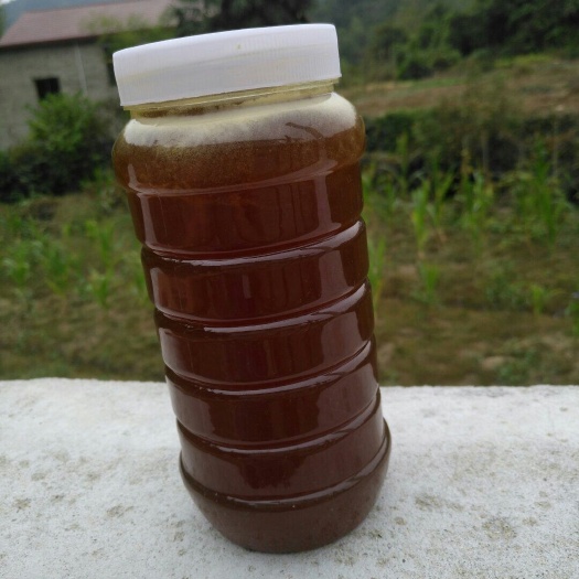 浮梁县百花蜜 大山里的江西百花密