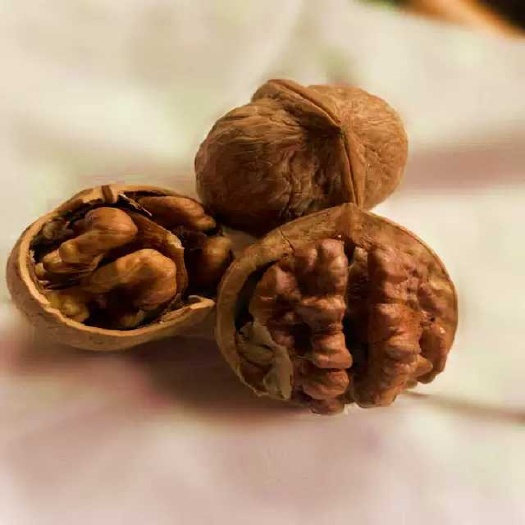 平邑县香玲核桃苗  核桃树苗嫁接当年结果8518薄皮核桃香玲适合南北方种植