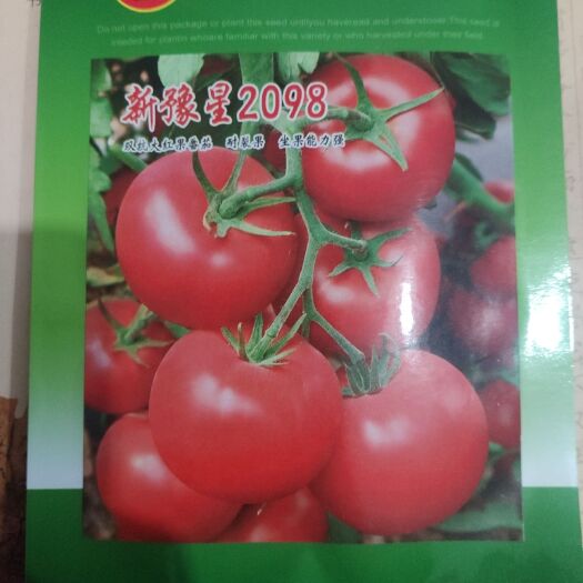 郑州红果番茄种子 豫艺  新豫星2098番茄种子 抗病极强双抗