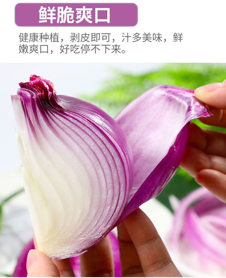  云南紫皮洋葱净重3/5斤新鲜洋葱头农家自种蔬菜红皮圆葱批发包