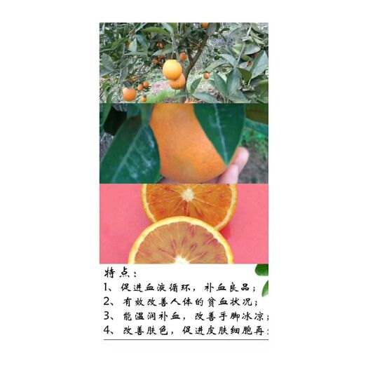 资中县塔罗科血橙 自家血橙不用农药水果让家人吃得放心，吃得开心吃得安心