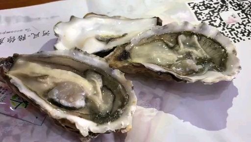 济南 新鲜生蚝 山东烟台牡蛎 长牡蛎
