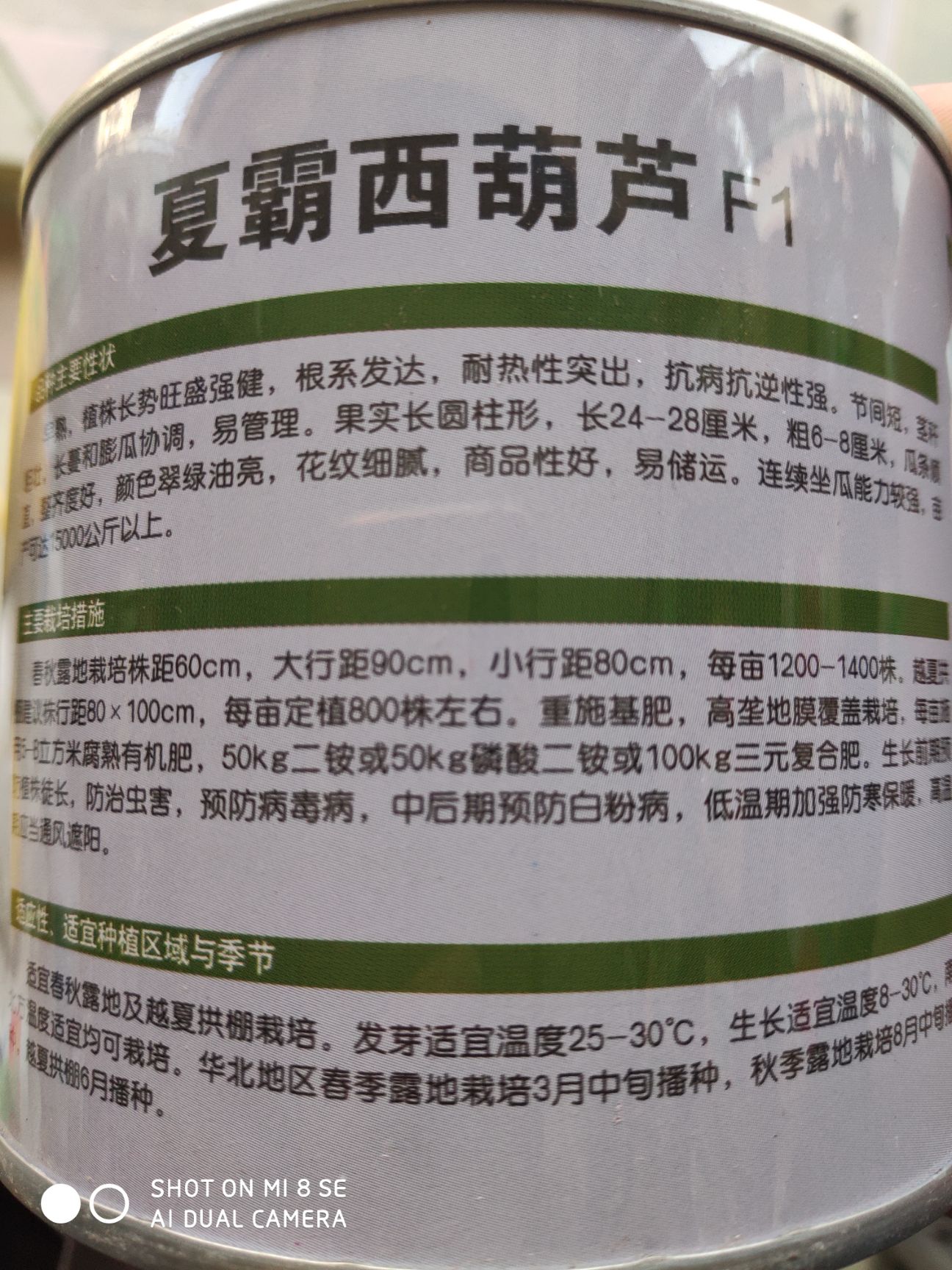 绿皮西葫芦种子   夏霸西葫芦种子早熟耐热性突出颜色翠绿油亮