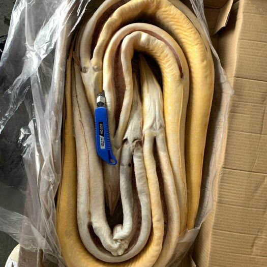 福州海鳗 人工养殖 80cm以上 冷冻水产 2公斤以上