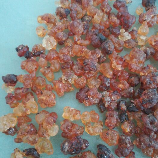 平南县 食用桃胶