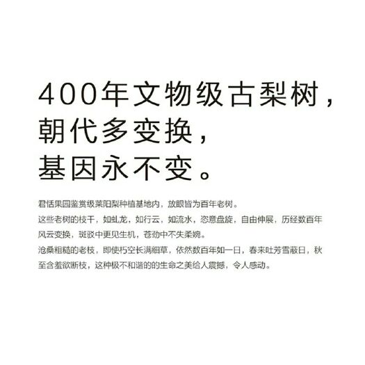 莱阳市 85特级品质莱阳慈梨最后一批，发完就等明年了