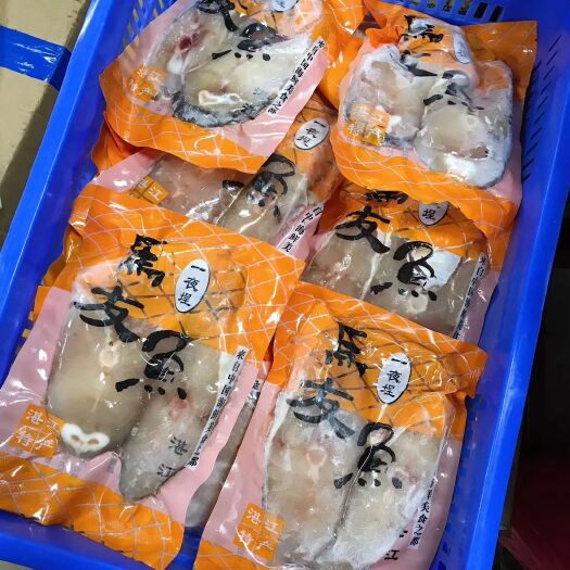 湛江 马友鱼