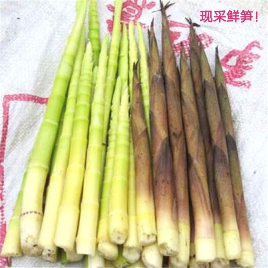 桂阳县 现采新鲜竹笋山上带壳小竹笋皮薄肉厚鲜嫩笋产地直销质量保证