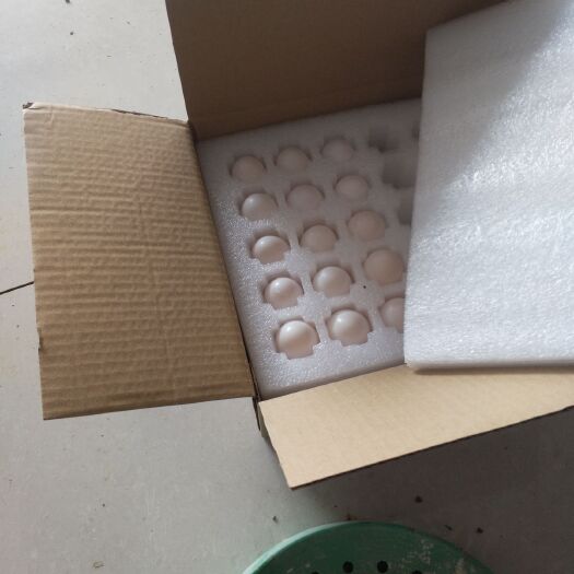 沈丘县 鸽子蛋一盒三十枚，3.5一枚