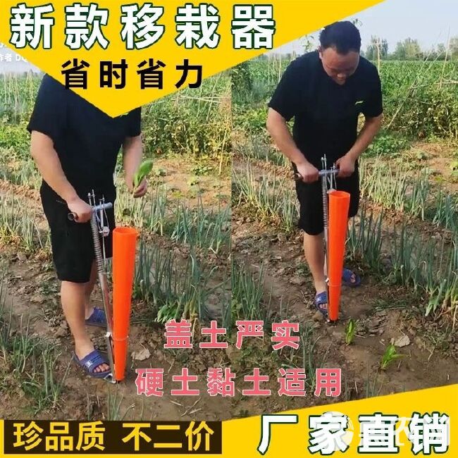 栽苗器移栽器辣椒播种器定植器种苗器种菜栽苗机大桥农具