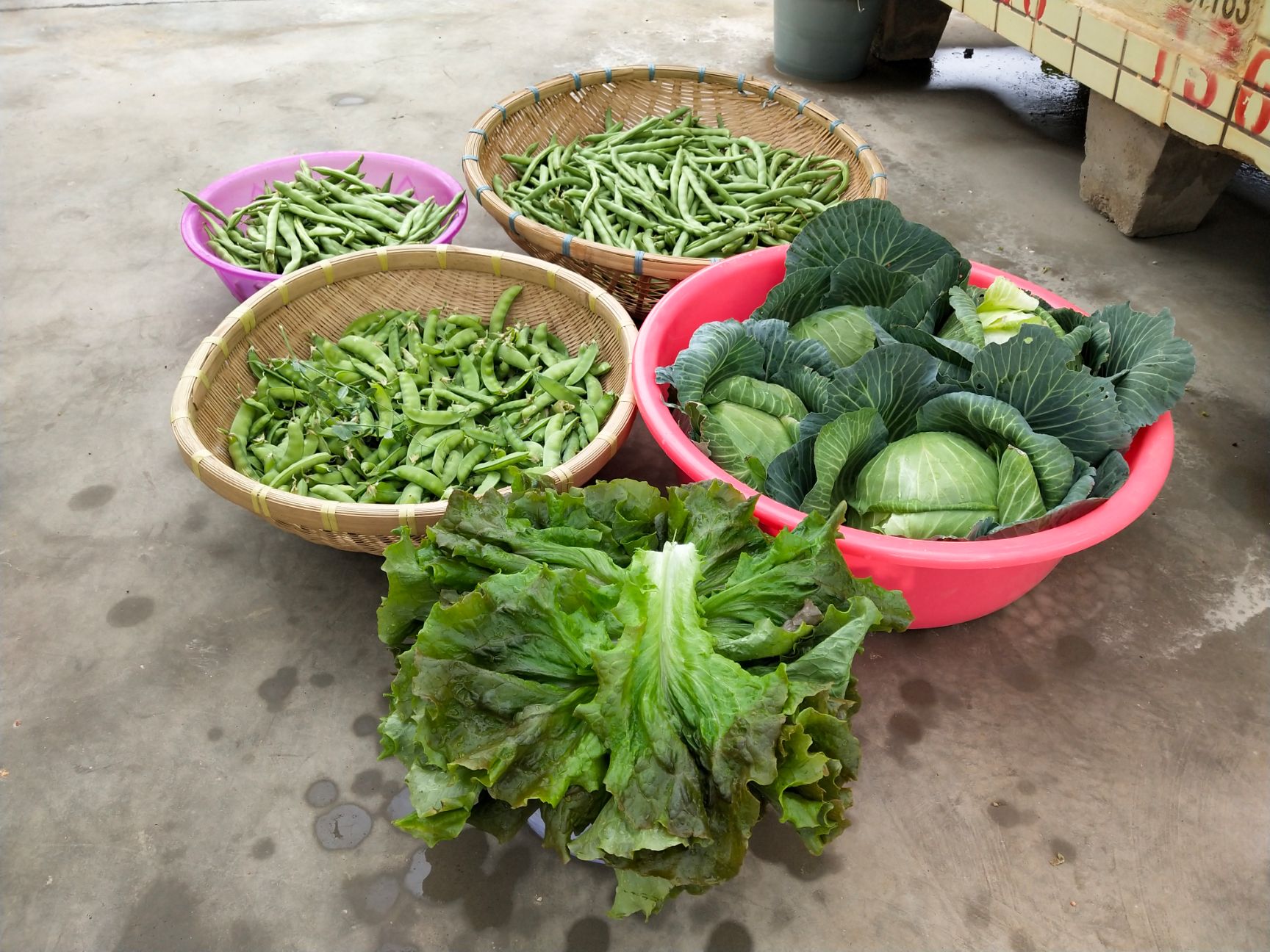 生态园林 屋顶菜园