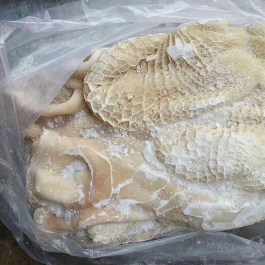 阳信县牛肚