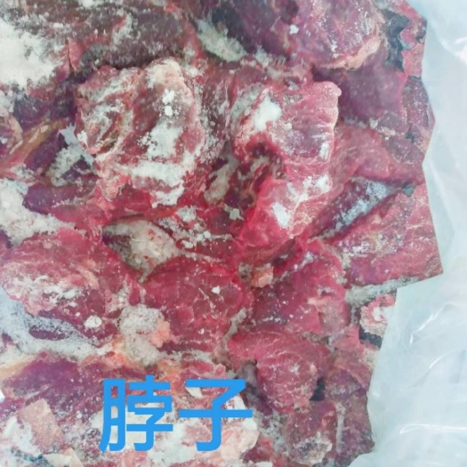 宁津县蒙古马肉，五分体，脖子肉