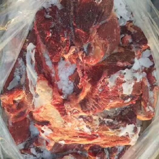宁津县蒙古马肉，四分体，后腿