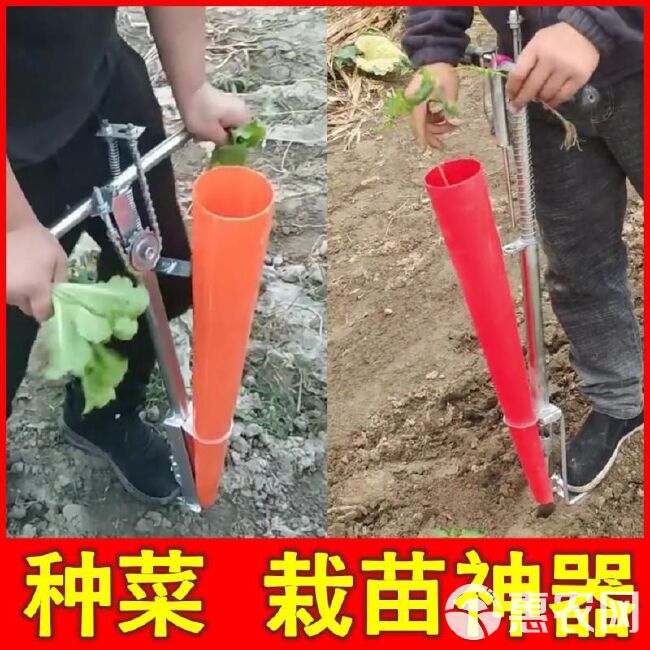 栽苗器移栽器辣椒播种器定植器种苗器种菜栽苗机大桥农具