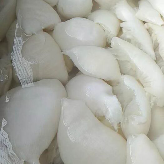  毛肚 白千叶 白千层肚