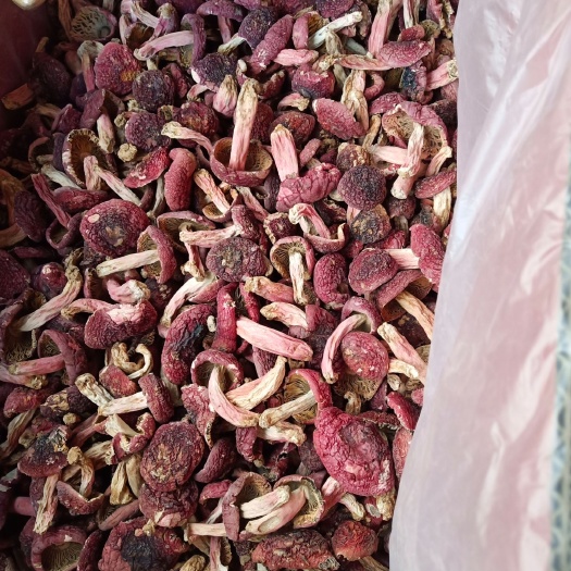 三明 福建红菇标菇