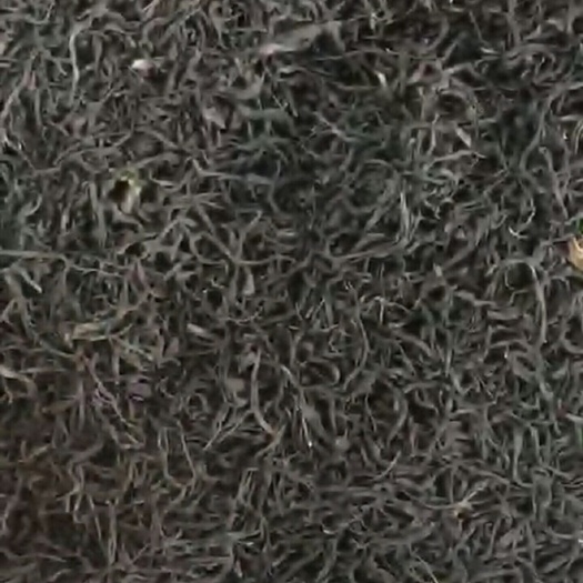 潮州凤凰水仙茶 凤凰红茶
