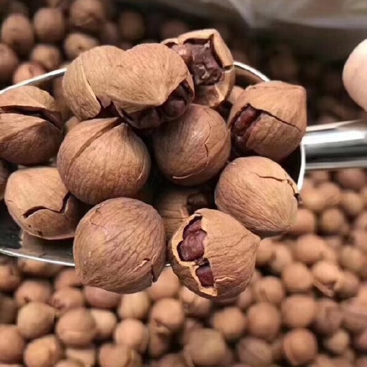杭州 新货临安手剥山核桃