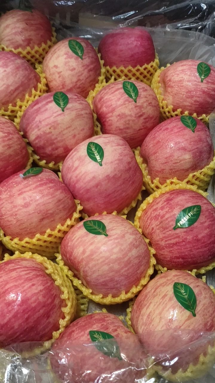 红富士苹果产地批发价格！