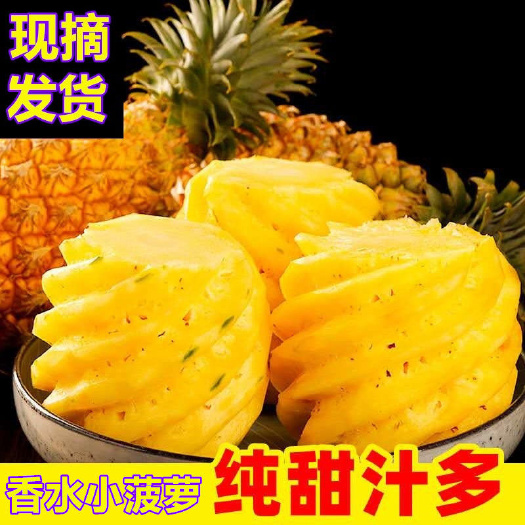 新鲜菠萝香水菠萝大果菠萝蜜香脆甜爽手撕菠萝凤梨云南菠萝包邮
