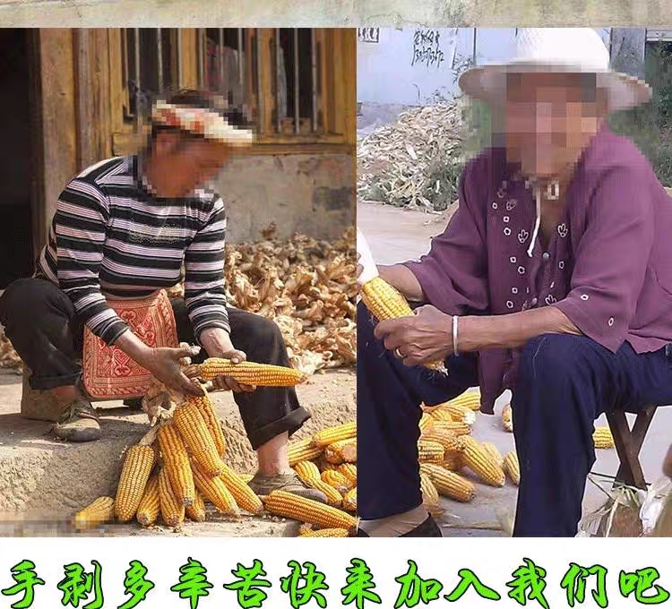 脱粒机械  农机手摇玉米脱粒机小型苞谷机剥玉米机子