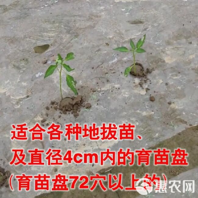 栽苗器移栽器辣椒播种器定植器种苗器种菜栽苗机大桥农具